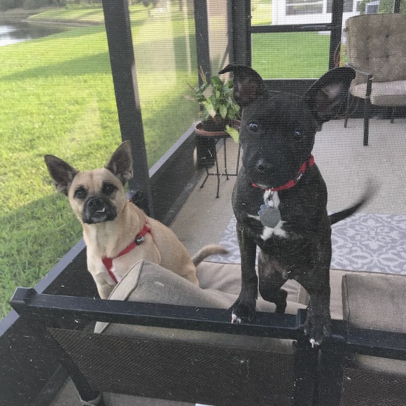 Meet your Posher, Stephanie - Picture 1 of 1